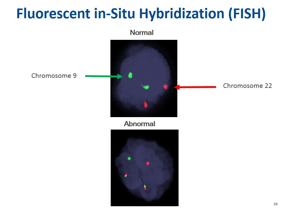 Slide 39